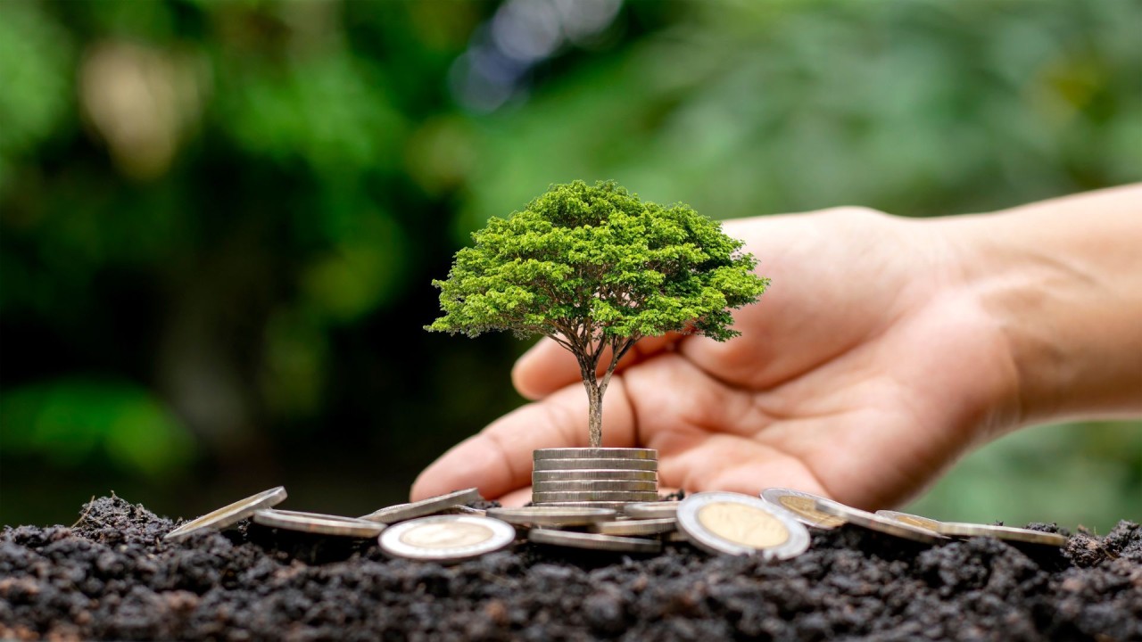 Investissement éthique : allier valeurs et rendement